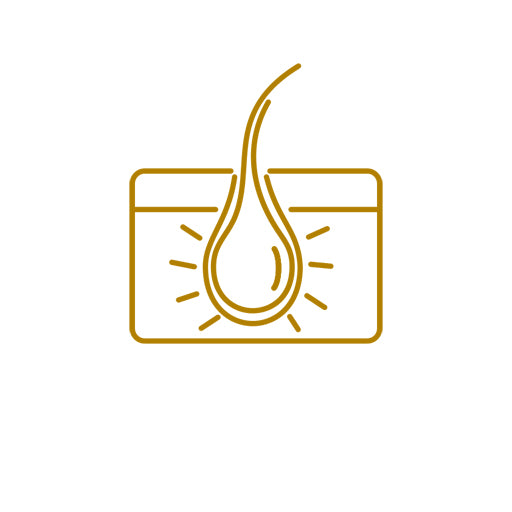 Supports hair & skin health from the root